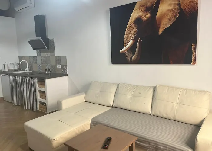 Loft H Capote