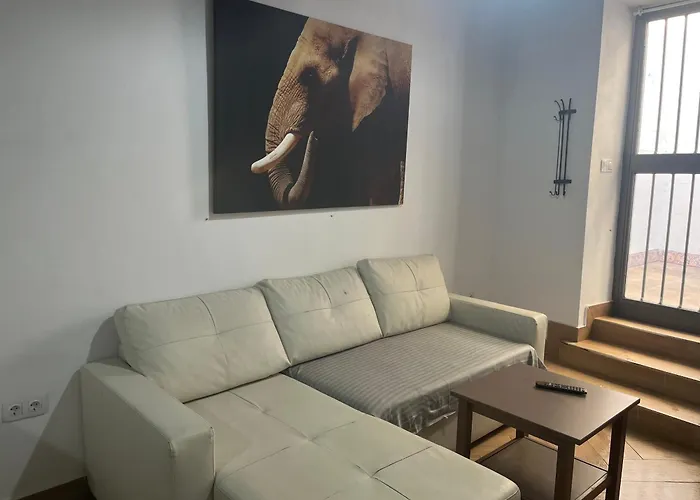 Loft H Capote